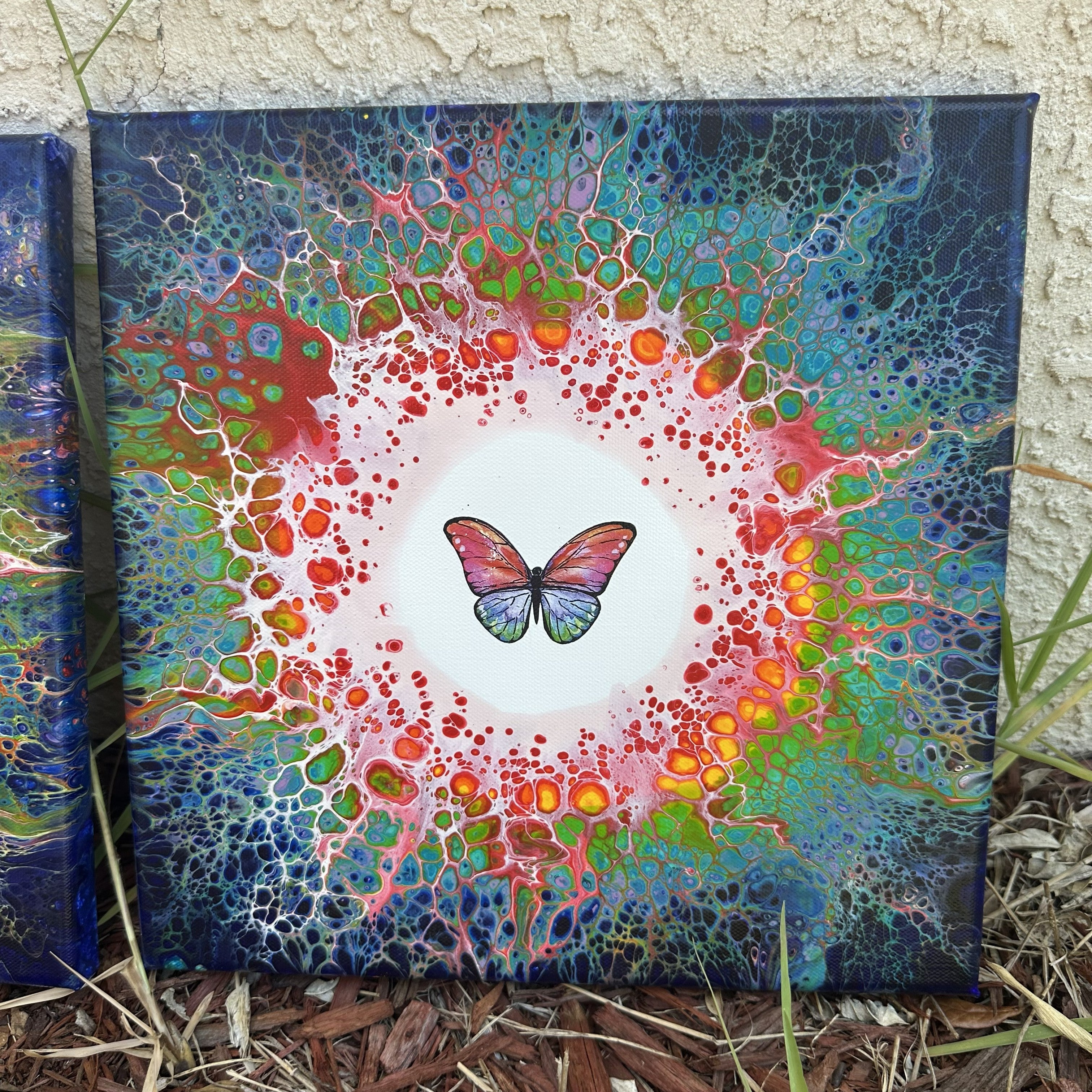 Rainbow Butterfly 2
