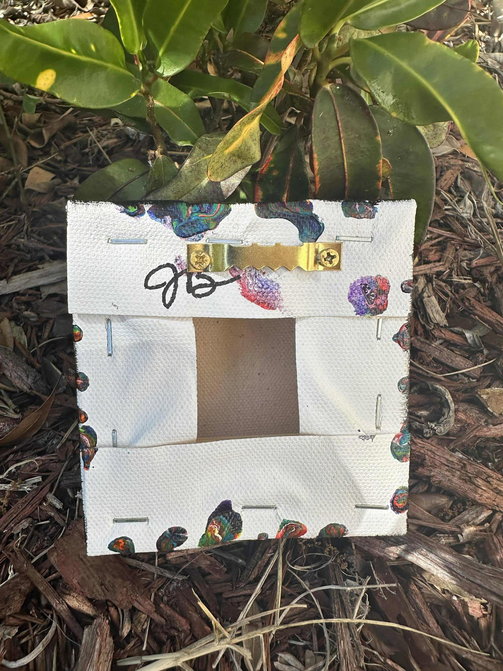 Beautiful Butterfly Mini