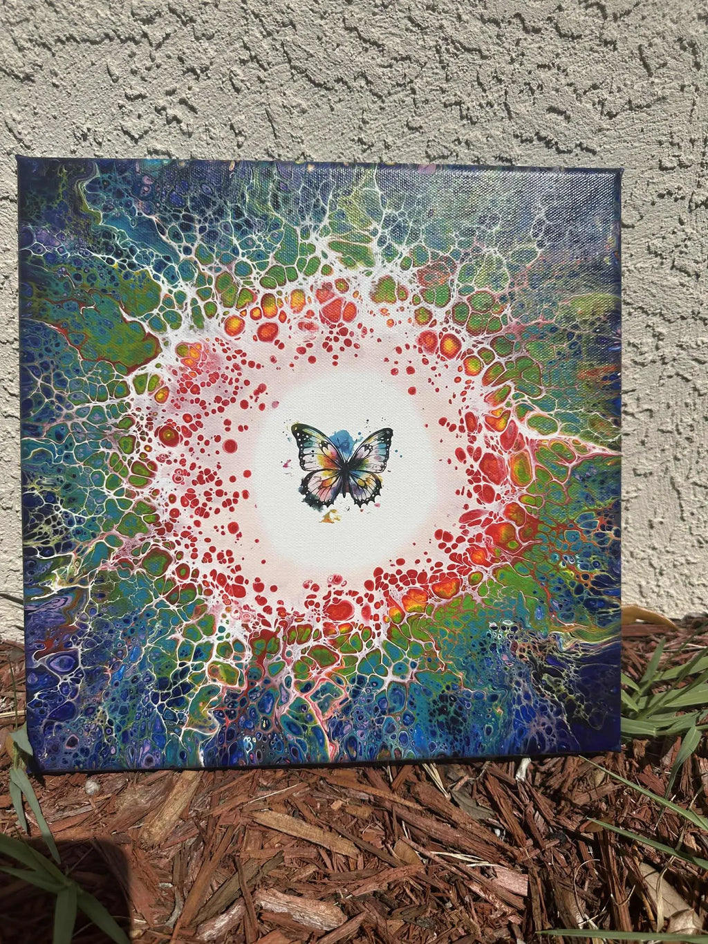 Rainbow Butterfly