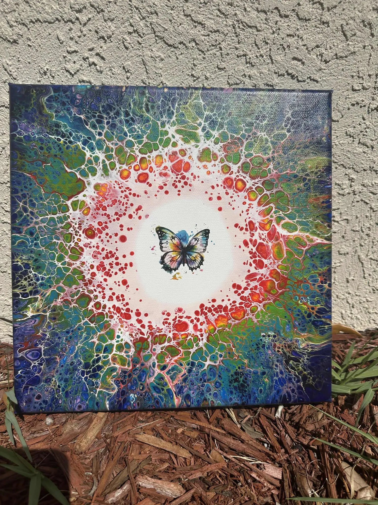 Rainbow Butterfly