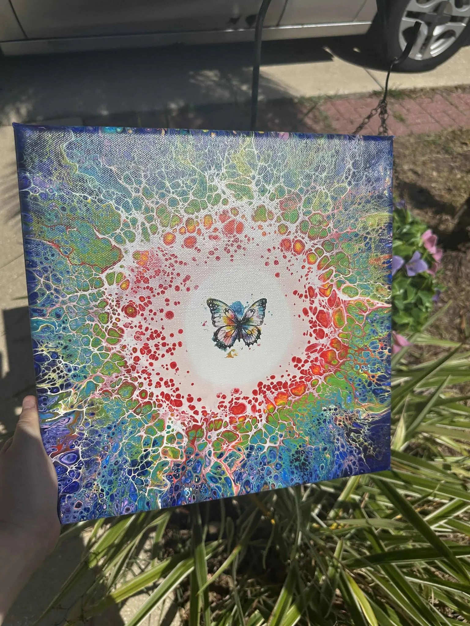 Rainbow Butterfly