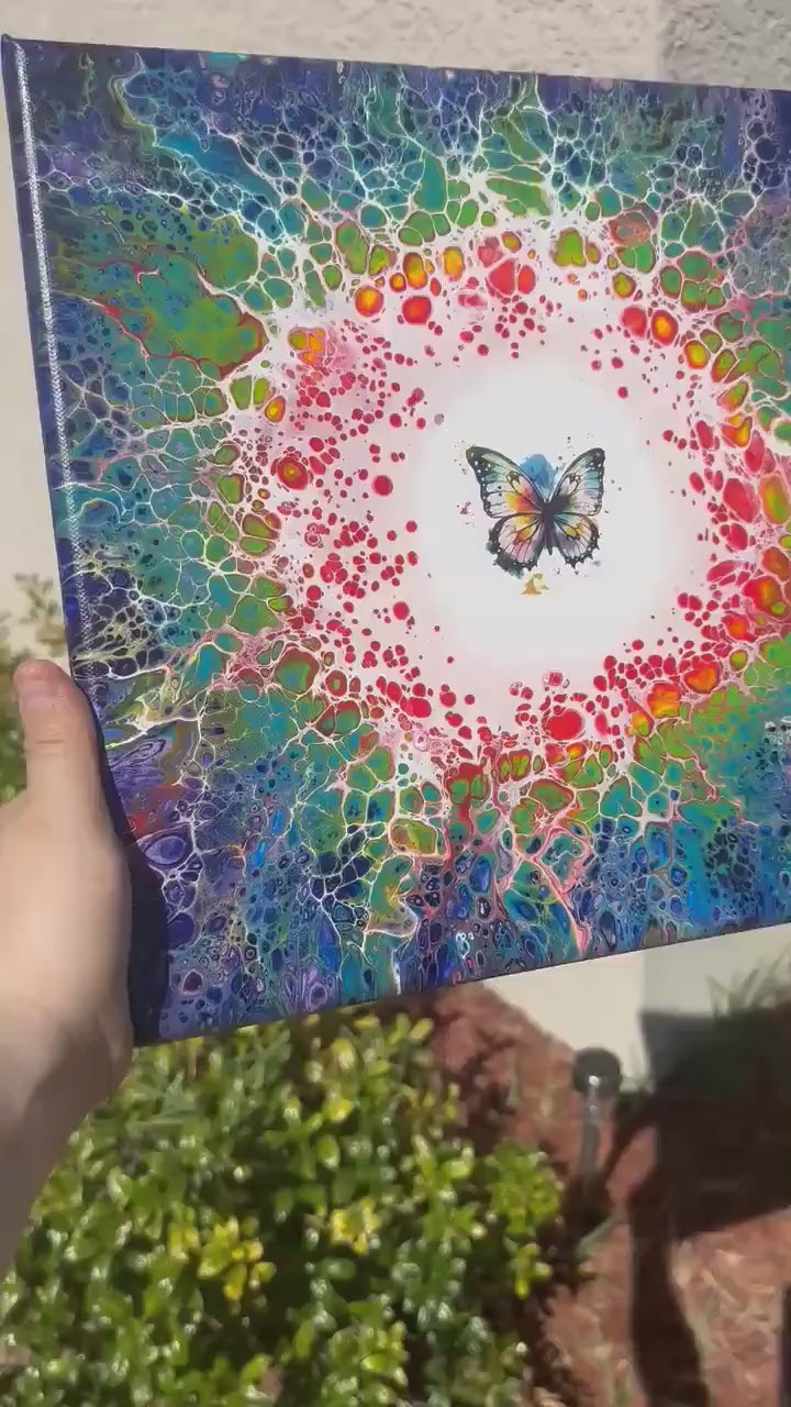 Rainbow Butterfly