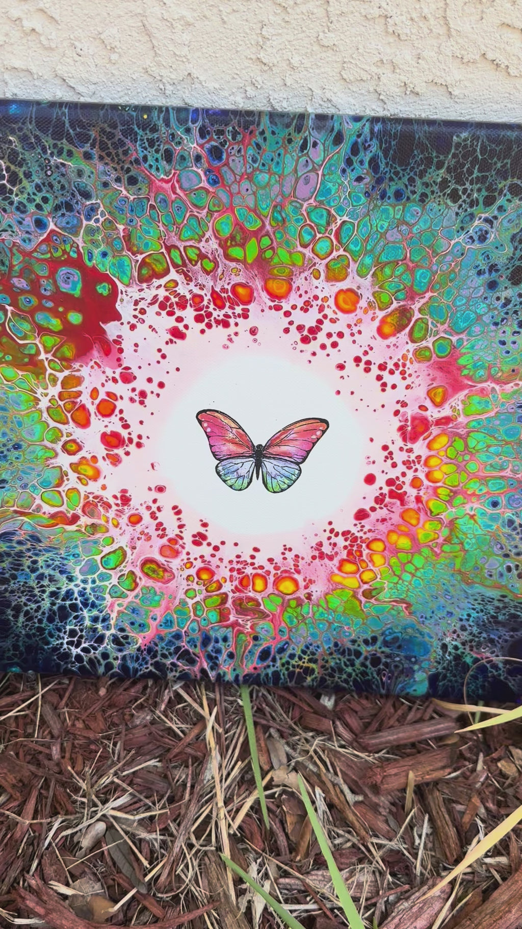 Rainbow Butterfly 2