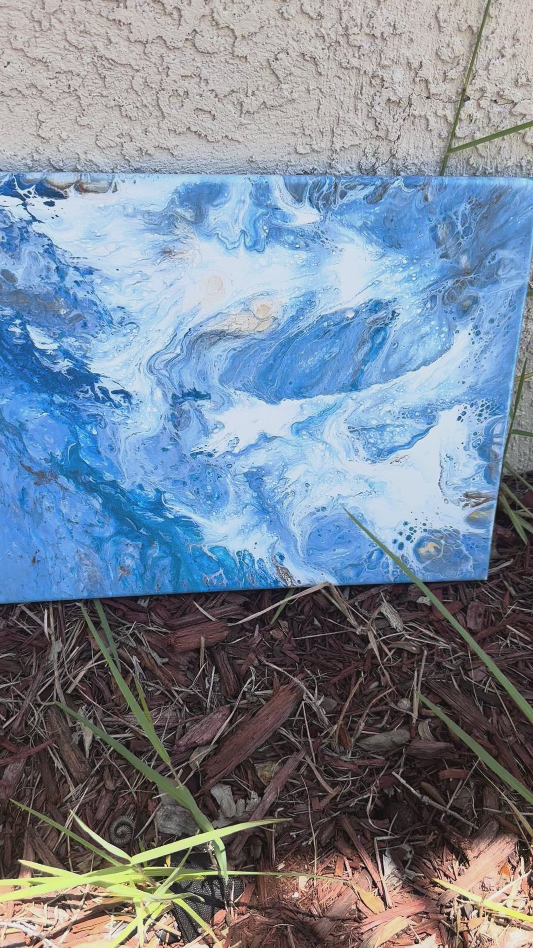 Surf the Waves
